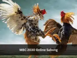 MBC 2030 online sabong