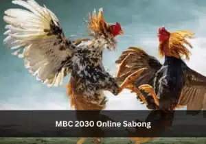 MBC 2030 online sabong